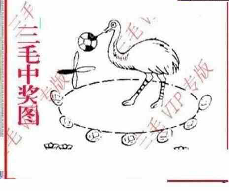 23332期: 三毛3D精品图谜