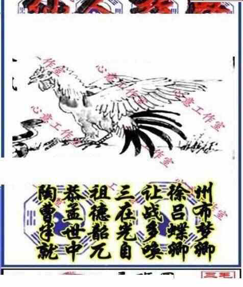 23337期: 三毛3D精品图谜