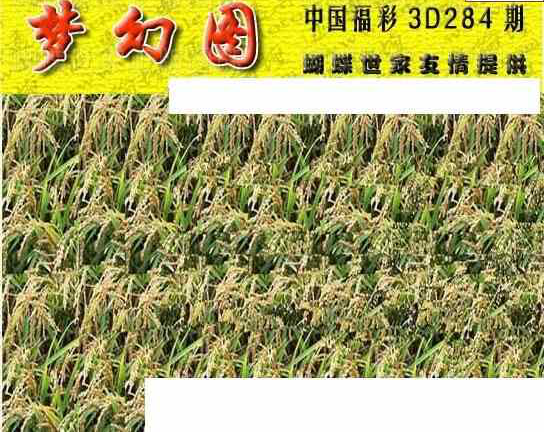 23284期: 3D蝴蝶世家蝴蝶彩图