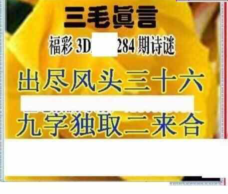 23284期: 三毛3D精品图谜