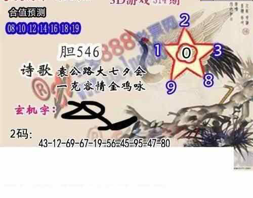 23314期: 白老3D杀码图版