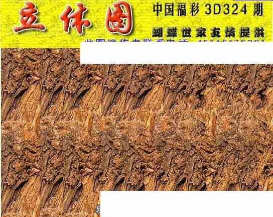 23324期: 3D蝴蝶世家蝴蝶彩图