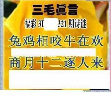 23321期: 三毛3D精品图谜