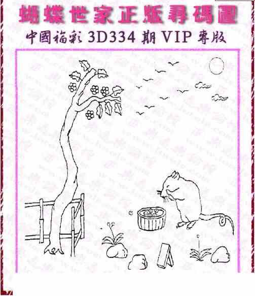 23334期: 3D蝴蝶世家蝴蝶彩图