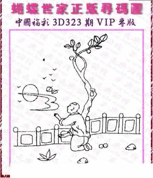 23323期: 3D蝴蝶世家蝴蝶彩图
