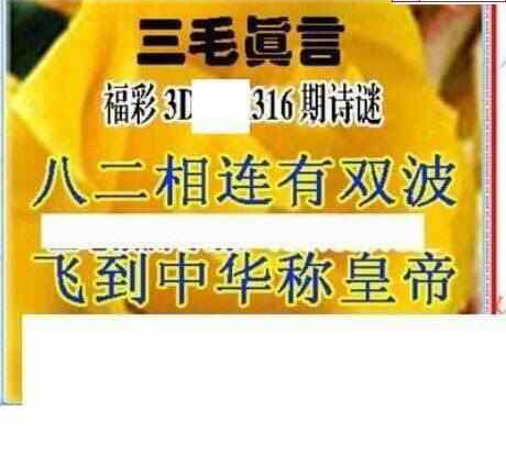 23316期: 三毛3D精品图谜