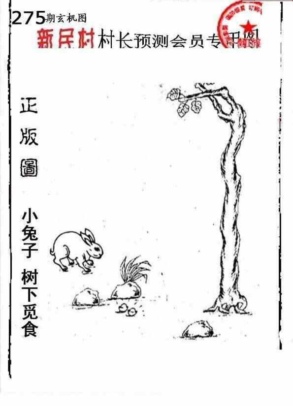 23275期: 老村长福彩3D天天图谜