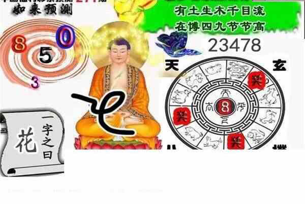 23271期: 白老3D杀码图版