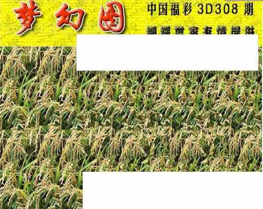 23308期: 3D蝴蝶世家蝴蝶彩图