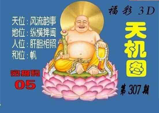 3D307期: 3D北盟天机图