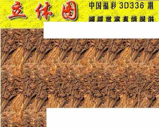 23336期: 3D蝴蝶世家蝴蝶彩图