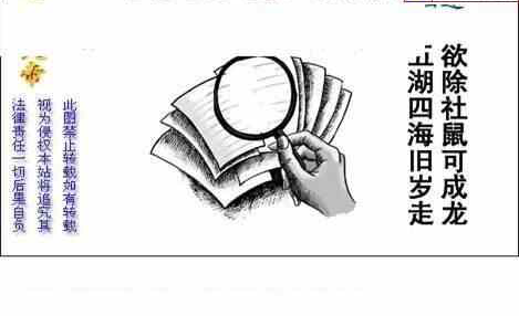 23304期: 白老3D杀码图版