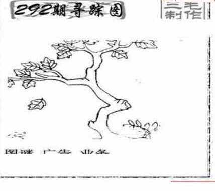 23292期: 三毛3D精品图谜