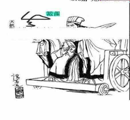 23310期: 三毛3D精品图谜