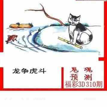 23310期: 白老3D杀码图版