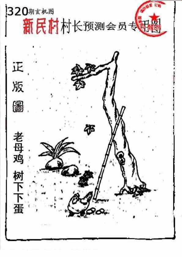 23320期: 老村长福彩3D天天图谜