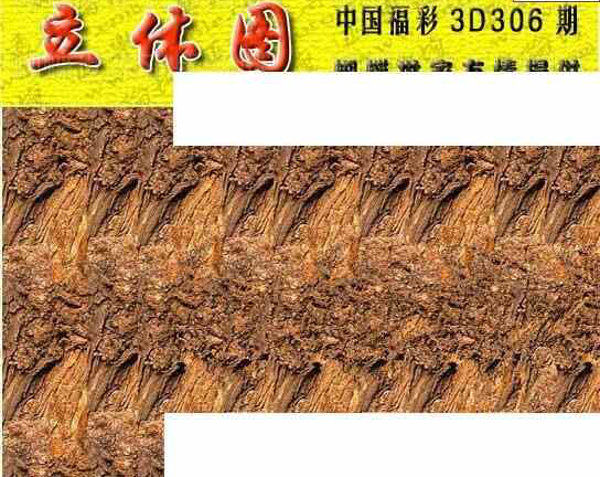 23306期: 3D蝴蝶世家蝴蝶彩图