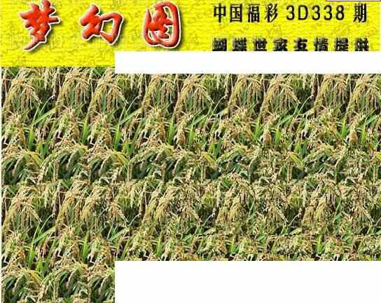 23338期: 3D蝴蝶世家蝴蝶彩图