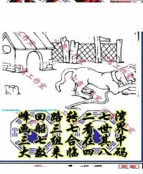 23292期: 三毛3D精品图谜