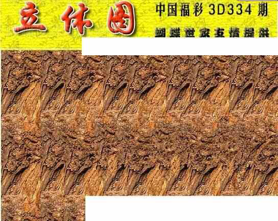 23334期: 3D蝴蝶世家蝴蝶彩图