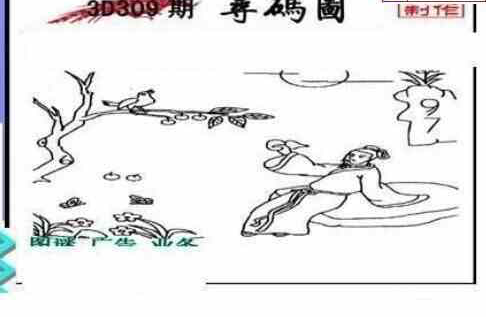 23309期: 三毛3D精品图谜