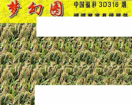 23316期: 3D蝴蝶世家蝴蝶彩图