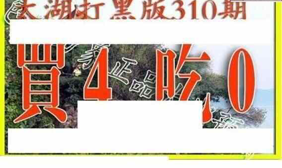 23310期: 太湖图福彩3D精品预测