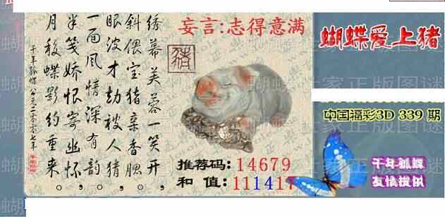 23339期: 3D蝴蝶世家蝴蝶彩图