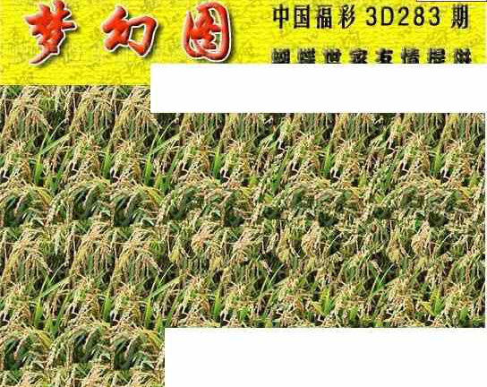 23283期: 3D蝴蝶世家蝴蝶彩图