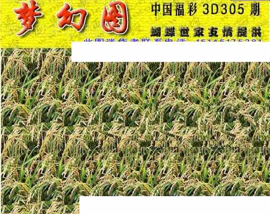 23305期: 3D蝴蝶世家蝴蝶彩图