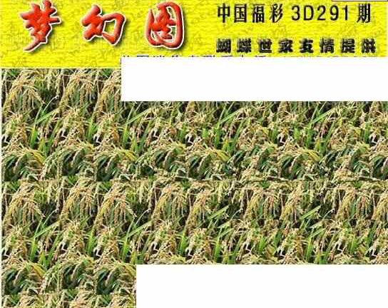 23291期: 3D蝴蝶世家蝴蝶彩图