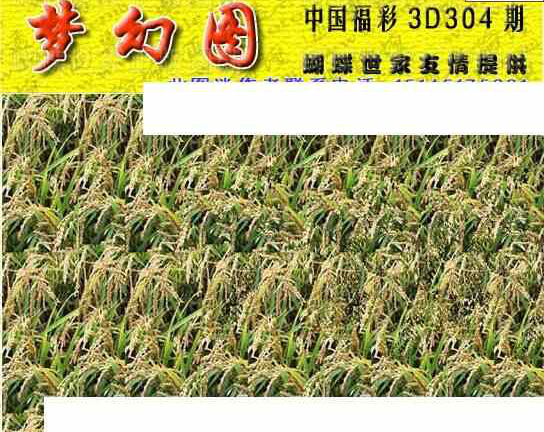 23304期: 3D蝴蝶世家蝴蝶彩图