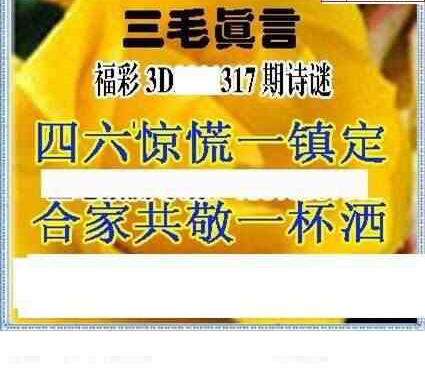 23317期: 三毛3D精品图谜
