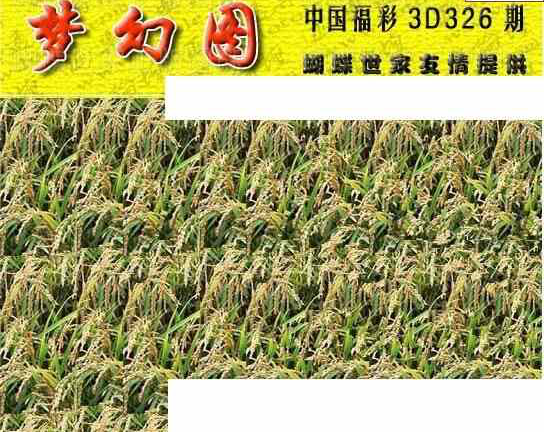 23326期: 3D蝴蝶世家蝴蝶彩图