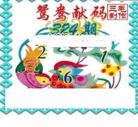 23324期: 三毛3D精品图谜