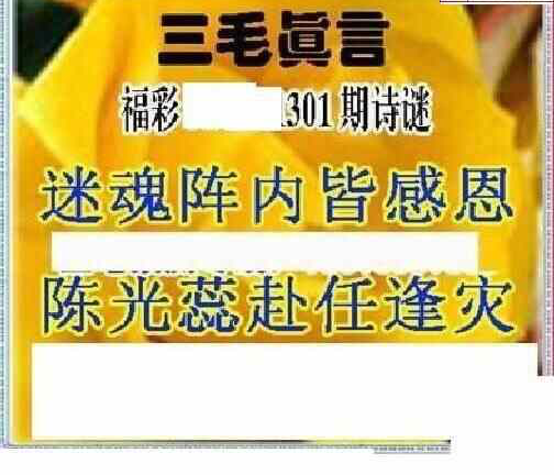 23301期: 三毛3D精品图谜