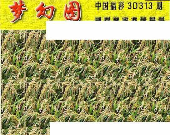 23313期: 3D蝴蝶世家蝴蝶彩图