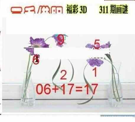 23311期: 三毛3D精品图谜