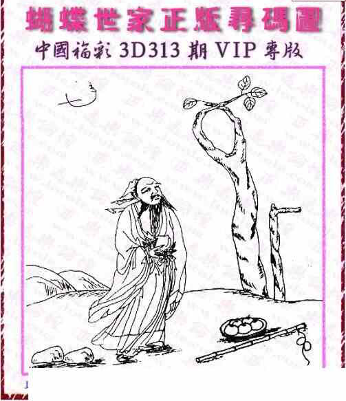 23313期: 3D蝴蝶世家蝴蝶彩图