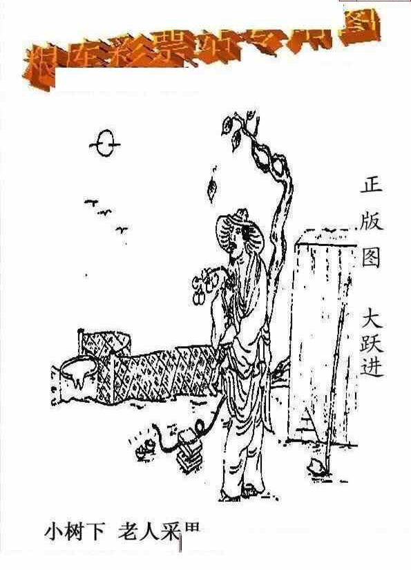 23276期: 老村长福彩3D天天图谜