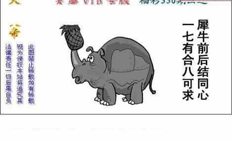 23330期: 白老3D杀码图版