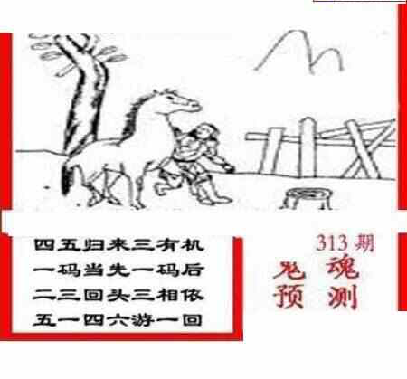 23313期: 三毛3D精品图谜