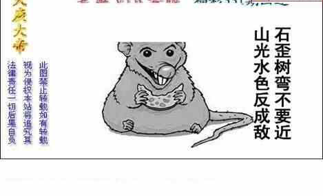 23331期: 白老3D杀码图版