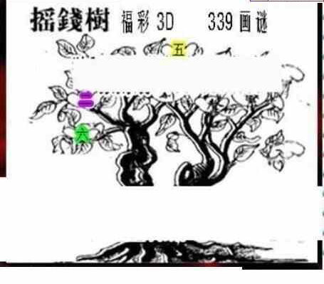 23339期: 三毛3D精品图谜