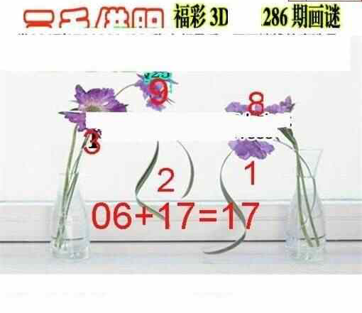 23286期: 三毛3D精品图谜