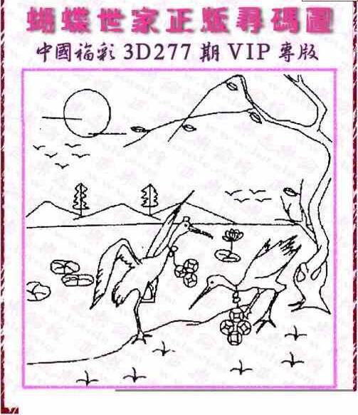 23277期: 3D蝴蝶世家蝴蝶彩图