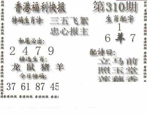 23310期: 白老3D杀码图版