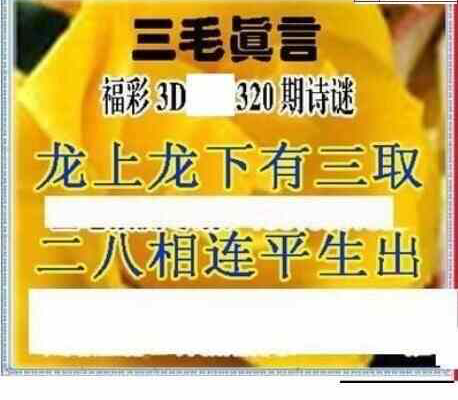 23320期: 三毛3D精品图谜