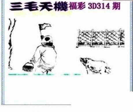 23314期: 三毛3D精品图谜