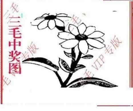 23329期: 三毛3D精品图谜